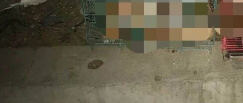 男子走到一片绿化带时，宠物犬突然开始吼叫，仔细一看发现...