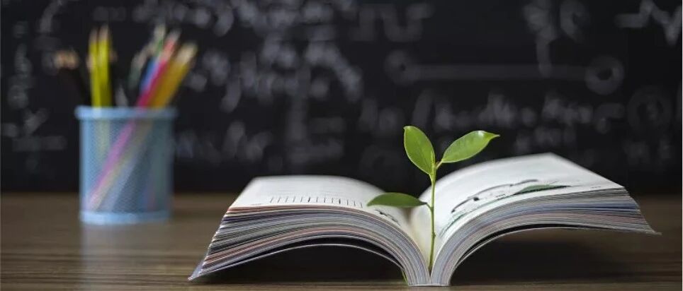 定了！高中明确暑假时间！今天起，辽宁初三~高三可免费上清北名师课！速领！