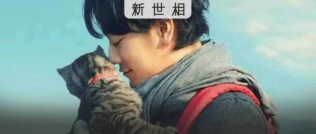 他拍下全世界最浪漫的猫,治好不快乐的你