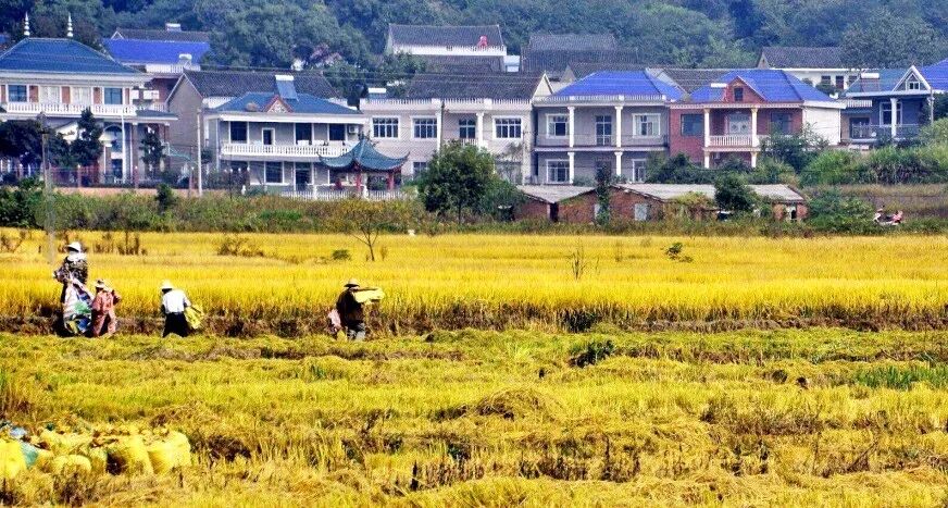 鄂州属于湖北省吗_鄂州市属于哪个省_省鄂州市属于哪个市管