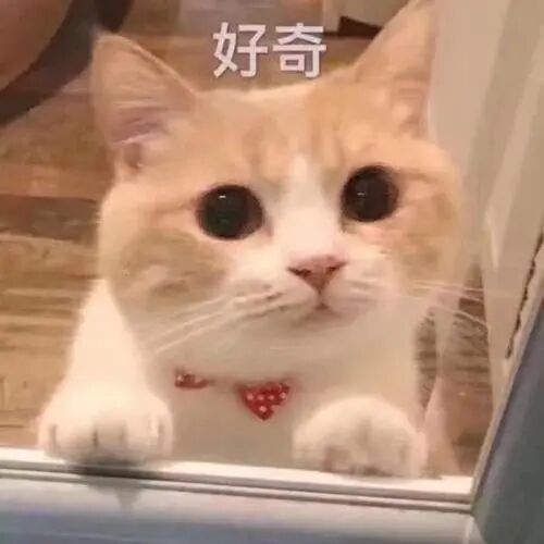 口镜怎么探秘口腔医院之——口镜_https://www.jmylbn.com_新闻资讯_第2张