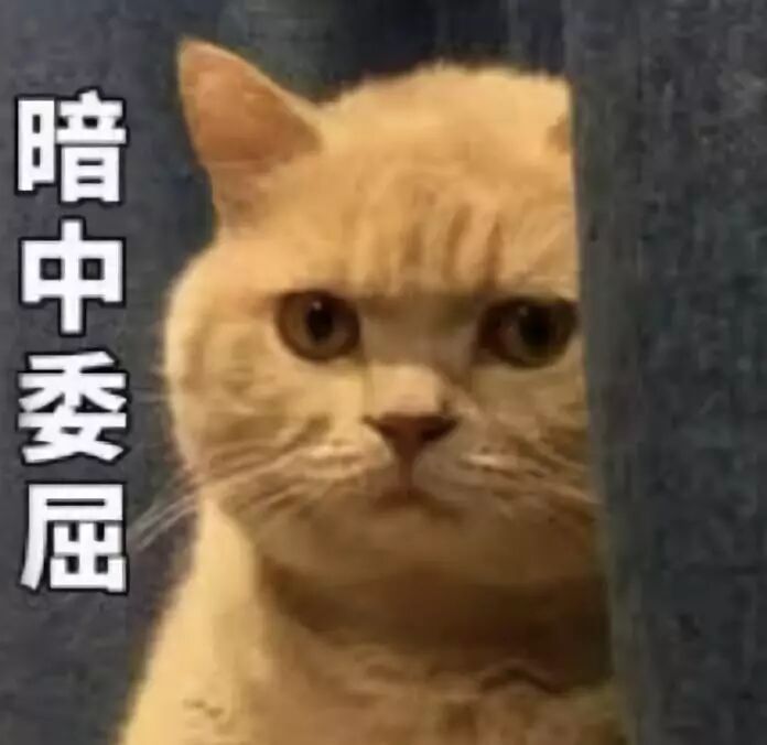 抖音卸妆秀吓尿围观老外：戳鼻子、抠下巴、徒手撕脸皮....（组图） - 23