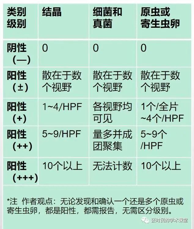 尿沉渣仪器怎么使用关于尿常规，所有检验人必须关注的N个复检要点！_https://www.jmylbn.com_新闻资讯_第3张
