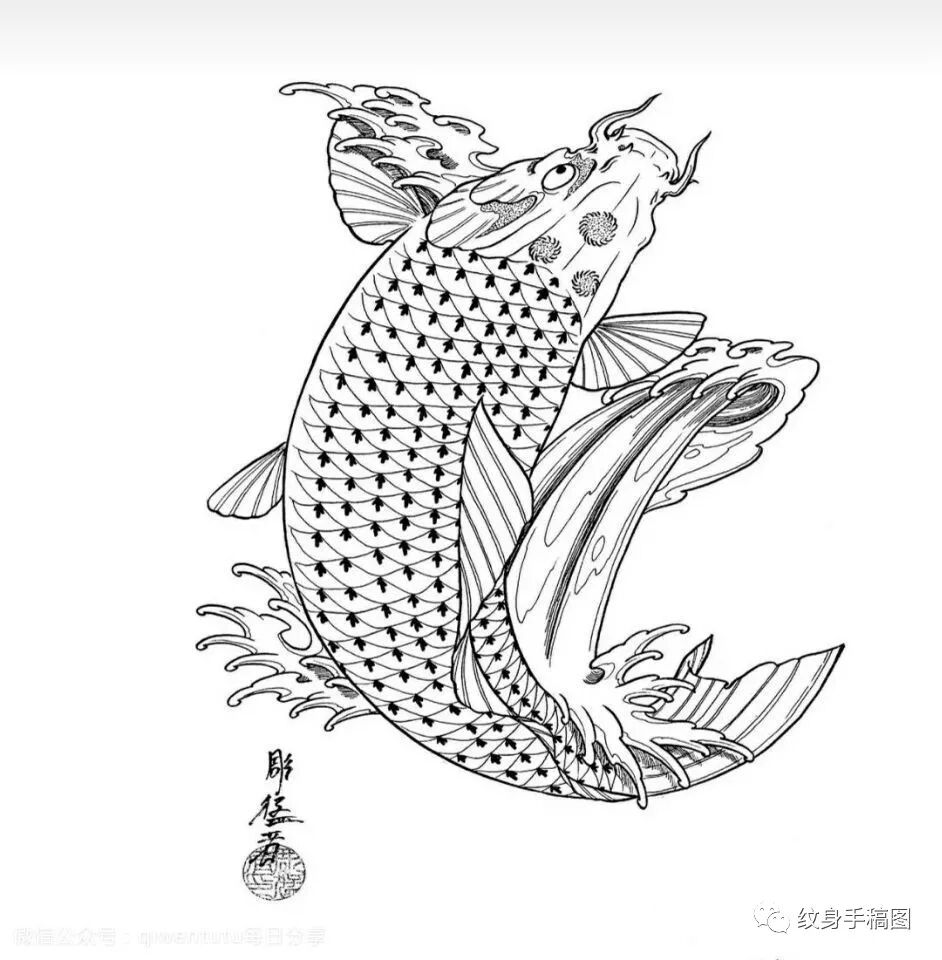 鱼纹身 纯线稿 锦鲤纹身 线条纹身 纹身手稿 纹身图案 - chrome插件网