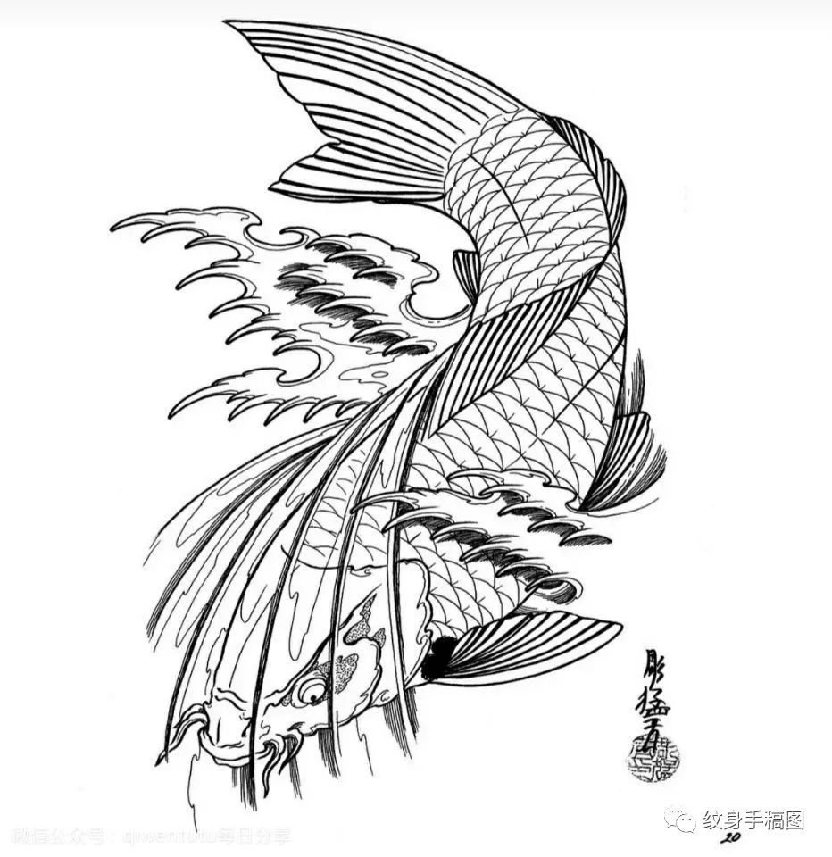 鱼纹身 纯线稿 锦鲤纹身 线条纹身 纹身手稿 纹身图案 