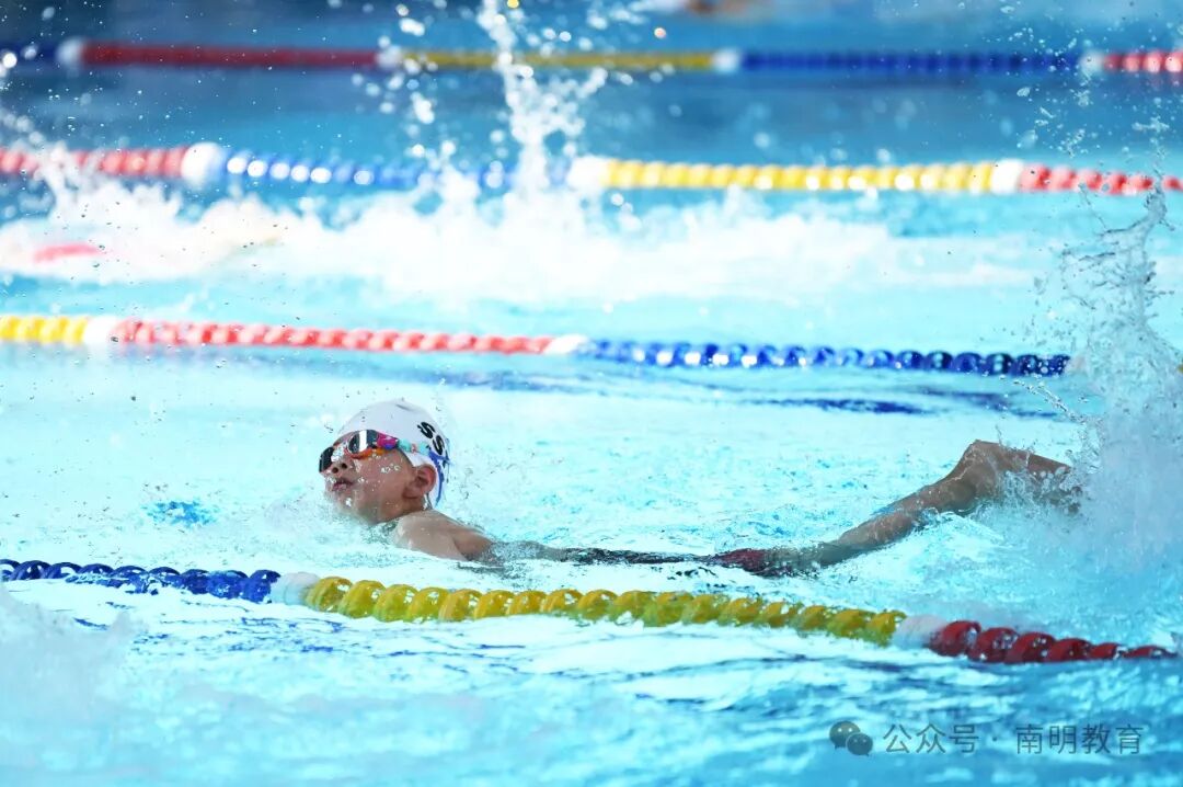 【工作动态】"暑"不尽的假期欢乐,南明区中小学(幼儿园)游泳比赛 精彩