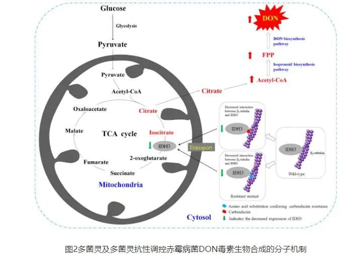 农业科研项目_农业科研成果_农业研究成果/