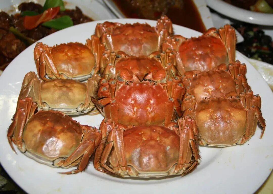 家乡的味道蚌埠这3道名菜入选安徽招牌菜