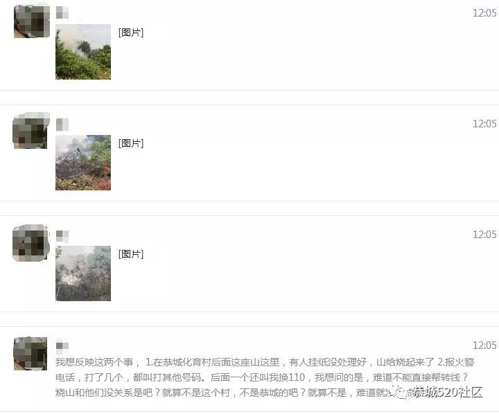 栗木高岭村民扫墓引发山火，五步蛇一家惨遭厄运380 / 作者:深秋的落叶 / 帖子ID:260486