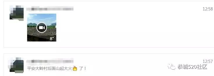 栗木高岭村民扫墓引发山火，五步蛇一家惨遭厄运951 / 作者:深秋的落叶 / 帖子ID:260486