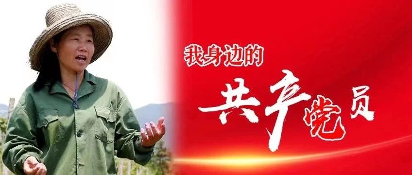 我身边的员（30）|石玉莲：用科技种地的“新农民”