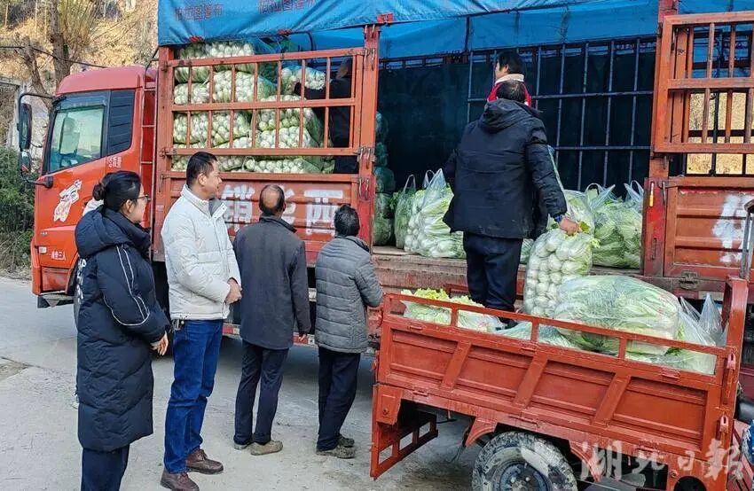 县供销社：助农解困，守护菜农“心头事.docx