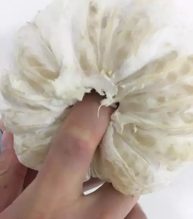 全澳爆发抗议，数百堪培拉人集聚国会大厦；第二批留学生4月返澳；最新回国规定，实施肛拭子，华人述羞人过程； - 26
