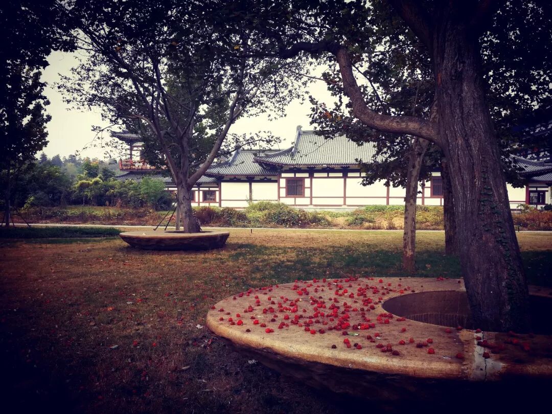 惠济寺_普陀山惠济寺求什么_惠济桥村租房