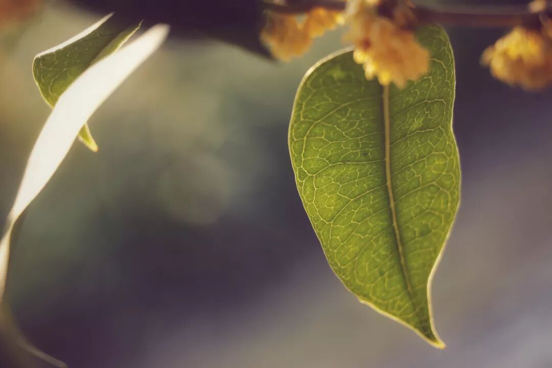 普陀山惠济寺求什么_惠济桥村租房_惠济寺