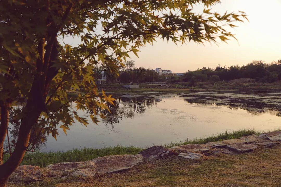 惠济桥村租房_普陀山惠济寺求什么_惠济寺