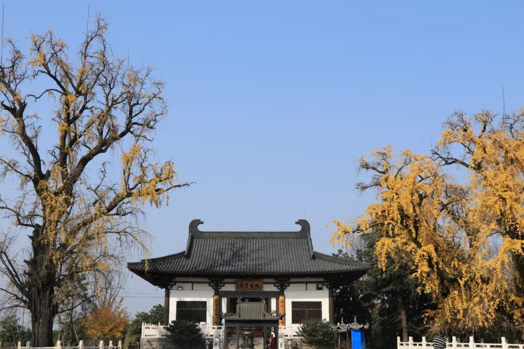 惠济寺_普陀山惠济寺求什么_惠济桥村租房