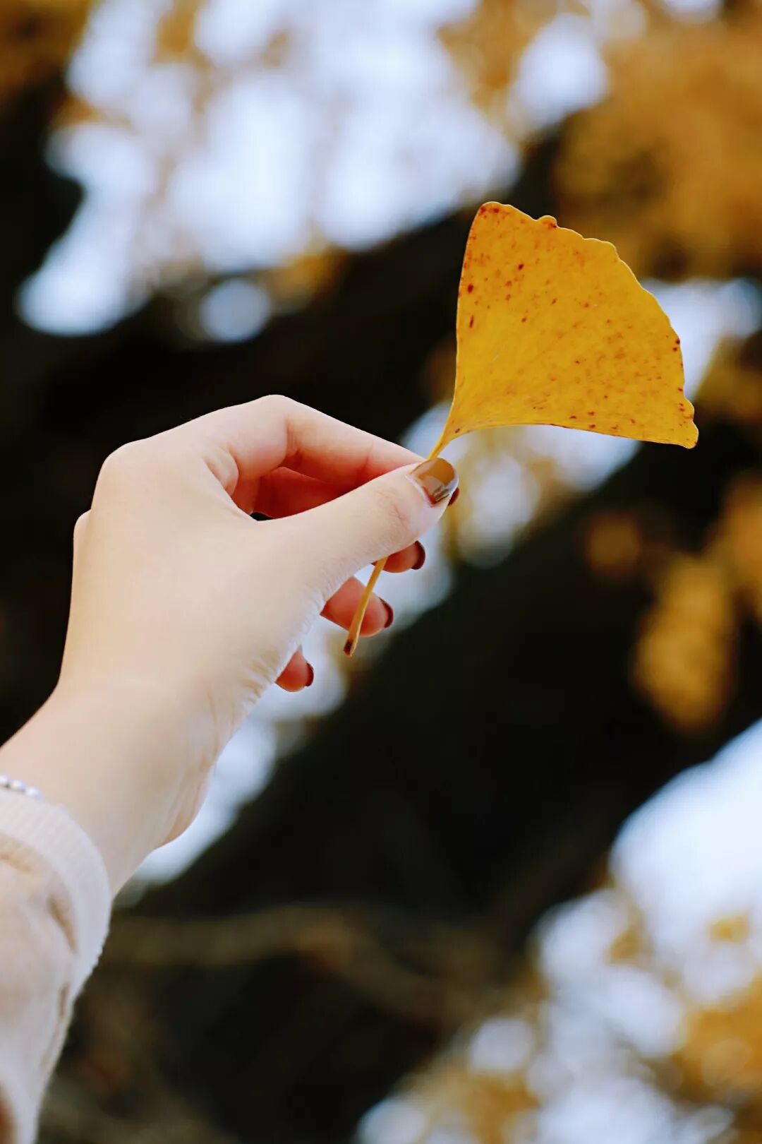 惠济桥村租房_惠济寺_普陀山惠济寺求什么