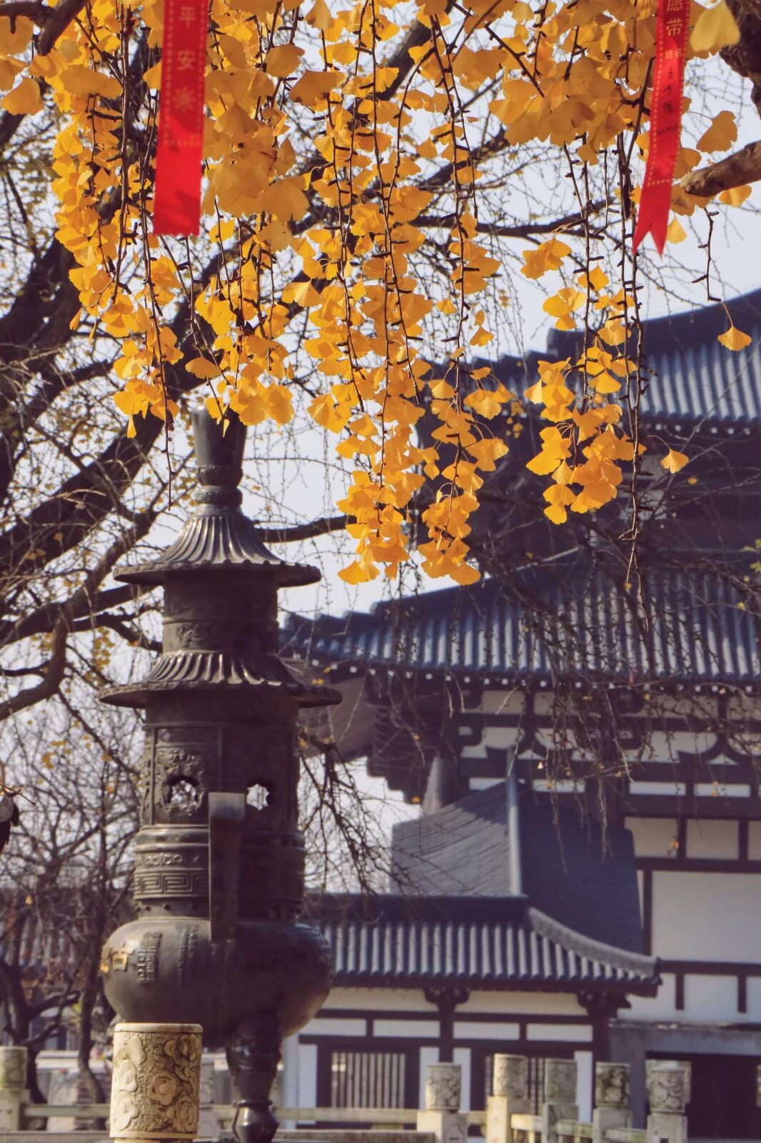 惠济桥村租房_普陀山惠济寺求什么_惠济寺