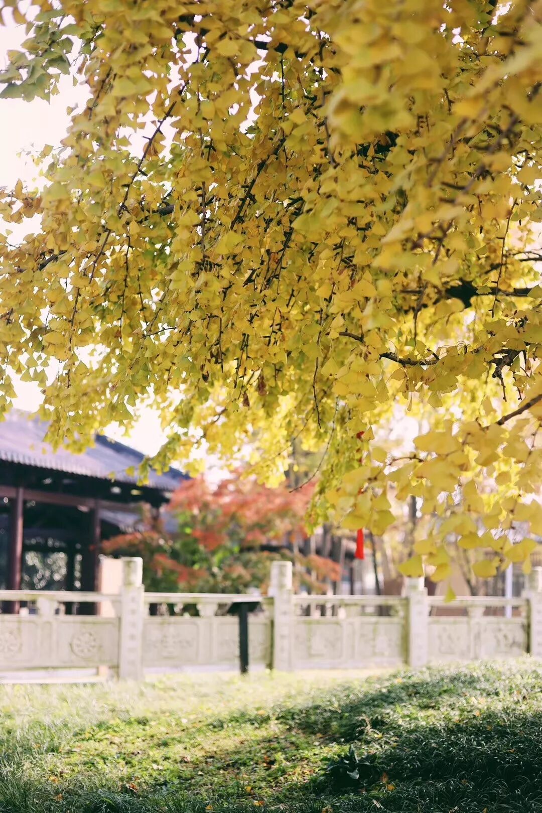 普陀山惠济寺求什么_惠济桥村租房_惠济寺