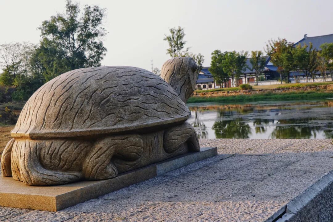 惠济寺_普陀山惠济寺求什么_惠济桥村租房