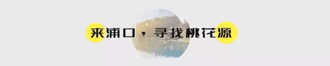 惠济寺_普陀山惠济寺求什么_惠济桥村租房