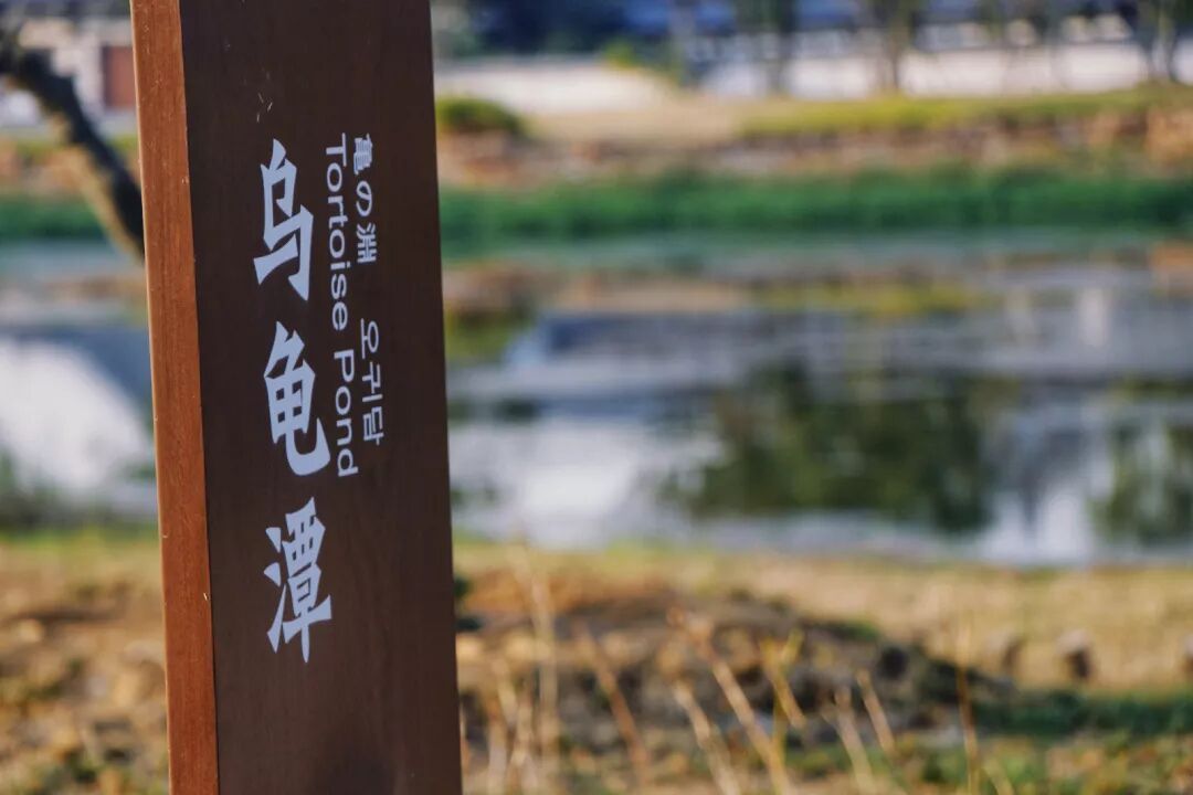 惠济寺_惠济桥村租房_普陀山惠济寺求什么
