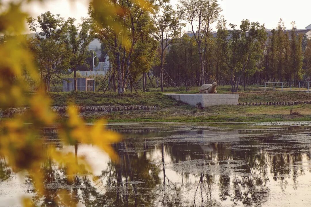 惠济桥村租房_普陀山惠济寺求什么_惠济寺