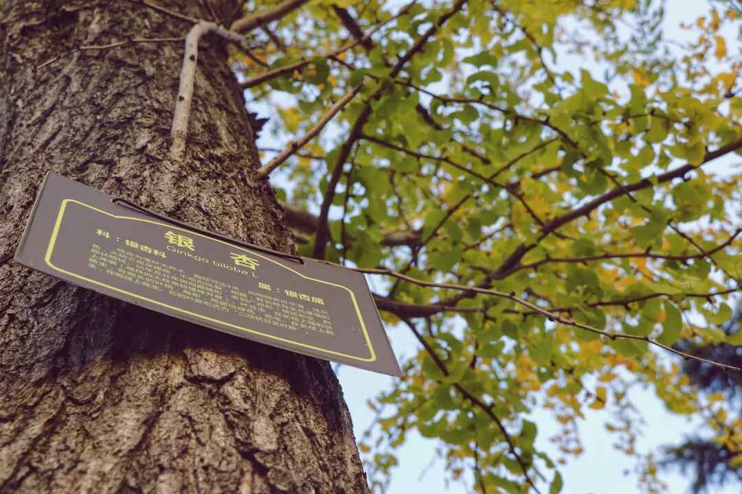 惠济桥村租房_惠济寺_普陀山惠济寺求什么