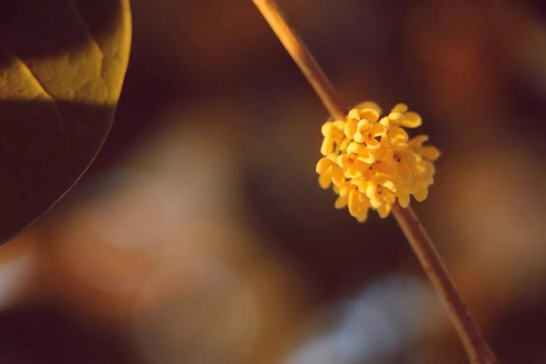 惠济寺_惠济桥村租房_普陀山惠济寺求什么