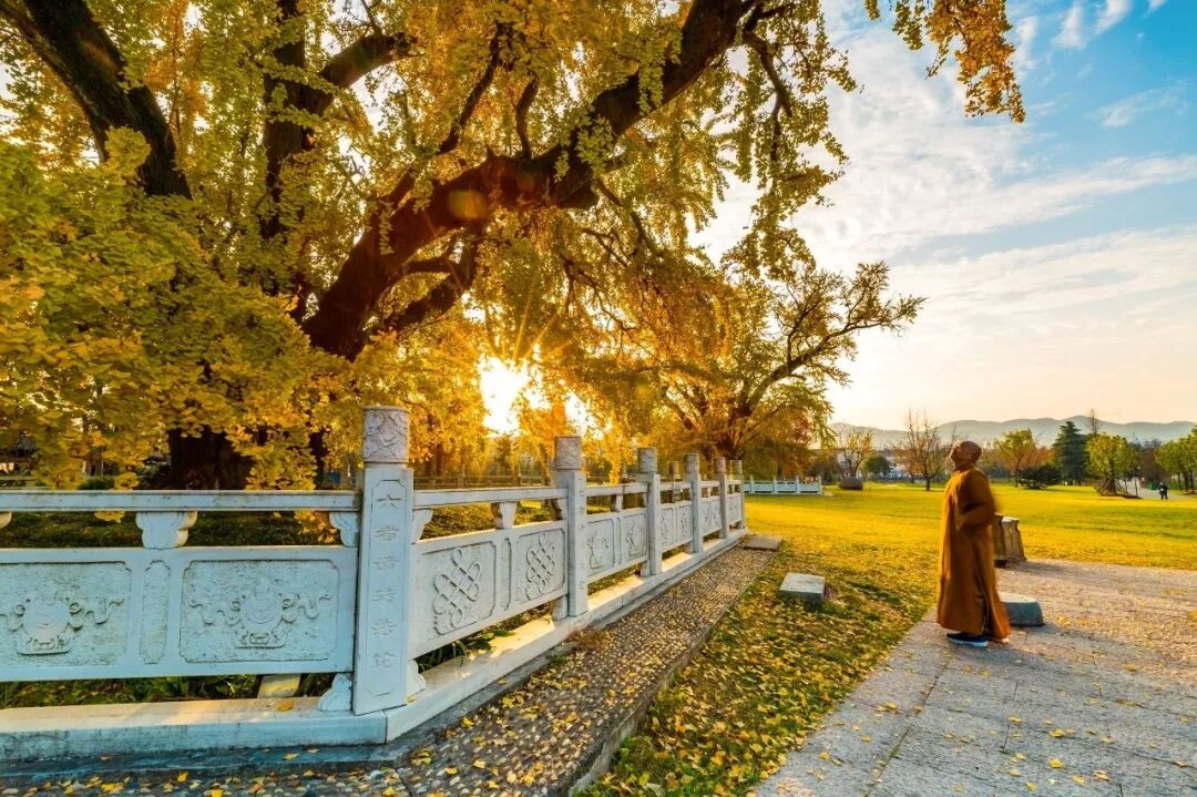 惠济桥村租房_惠济寺_普陀山惠济寺求什么