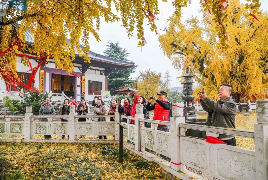 惠济桥村租房_普陀山惠济寺求什么_惠济寺