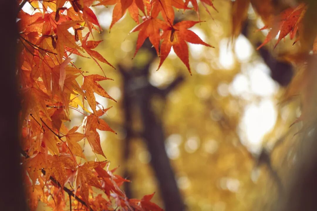 惠济寺_惠济桥村租房_普陀山惠济寺求什么