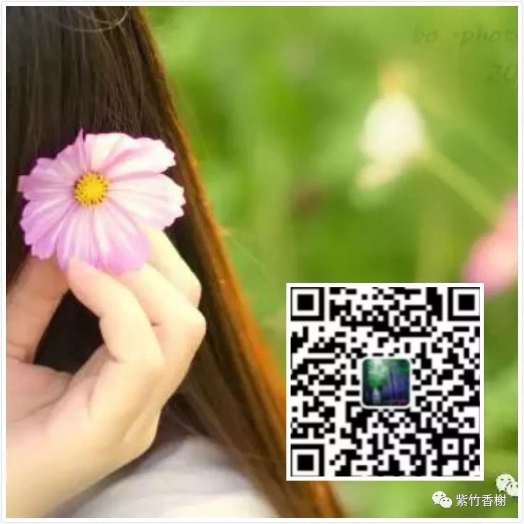 ��ѽ��ԭ��ɢ���ʶ�����������