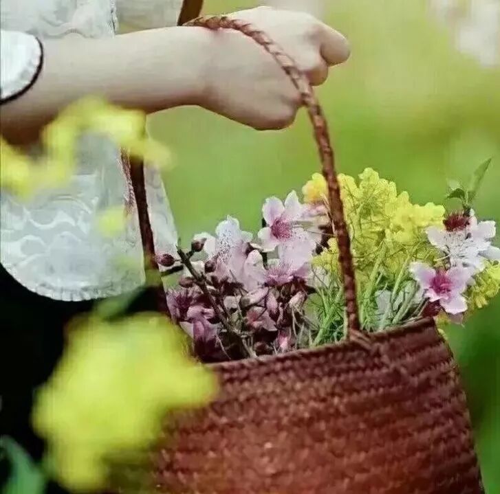 ��ѽ��ԭ��ɢ���ʶ�����������