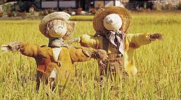 头发一到冬天就炸毛？