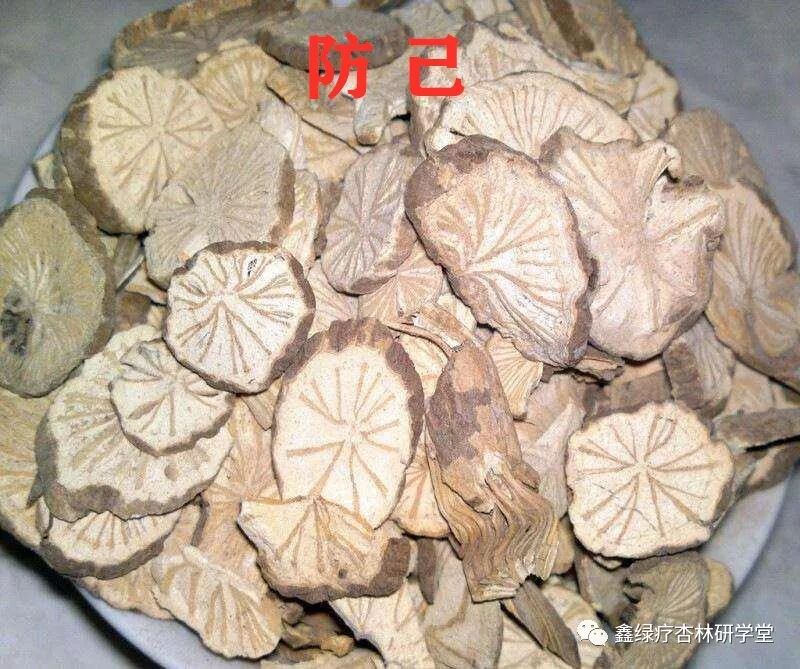 每日一味中药--防己