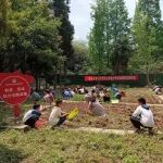 名山区蒙顶山实验小学扎实开展劳动节主题教育