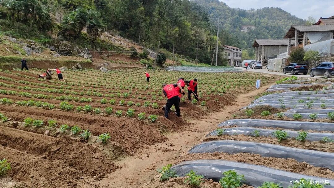 金果坪乡工作周报（20240407-20240414）