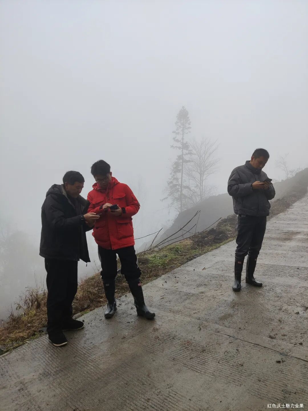 金果坪乡工作简报（20240218-20240310）