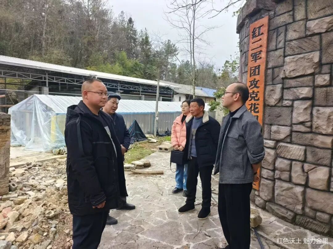 金果坪乡工作周报（20250217-20250302）