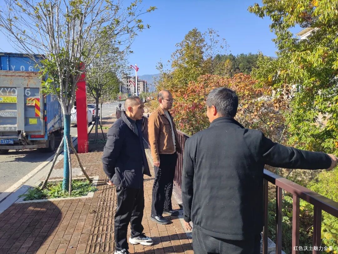 金果坪乡工作简报（20241118-20241201）