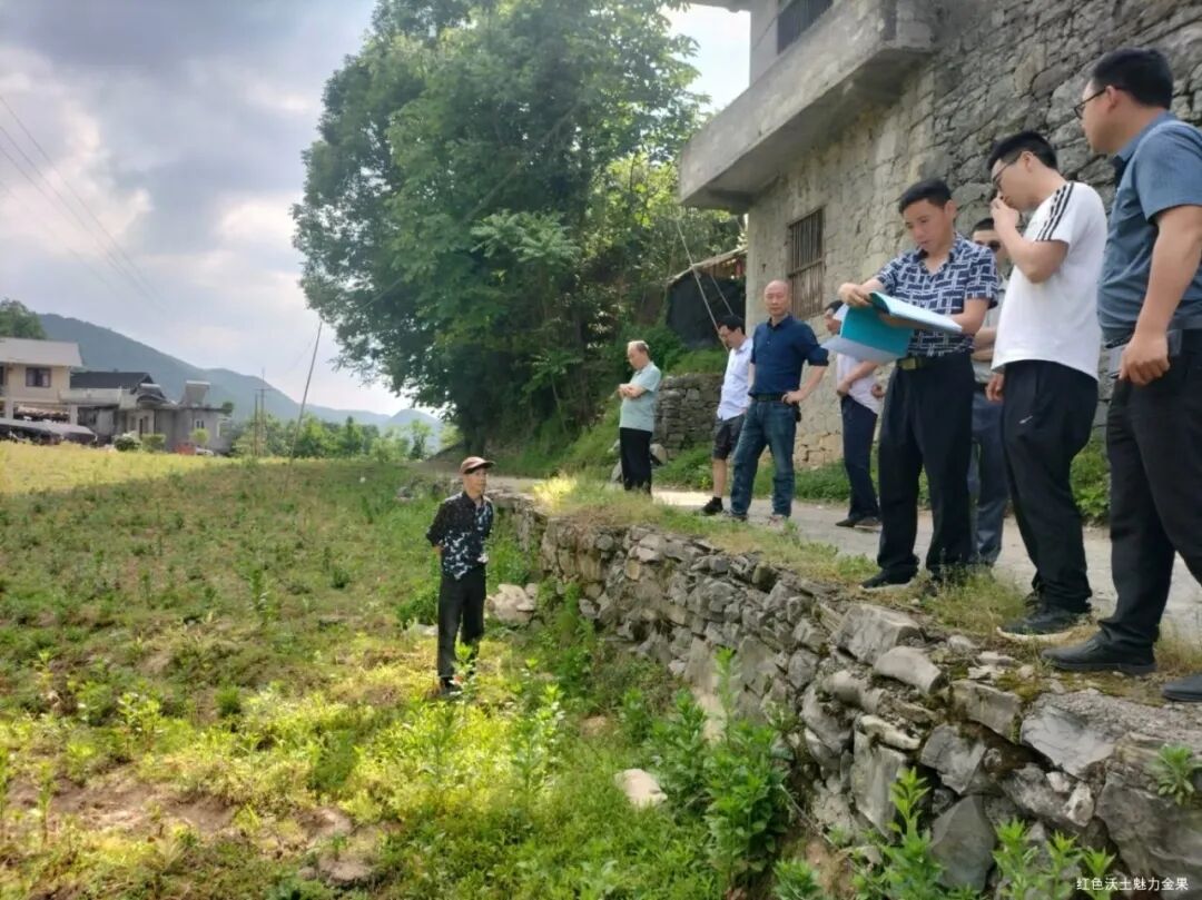 金果坪乡工作简报（20240513-20240526）