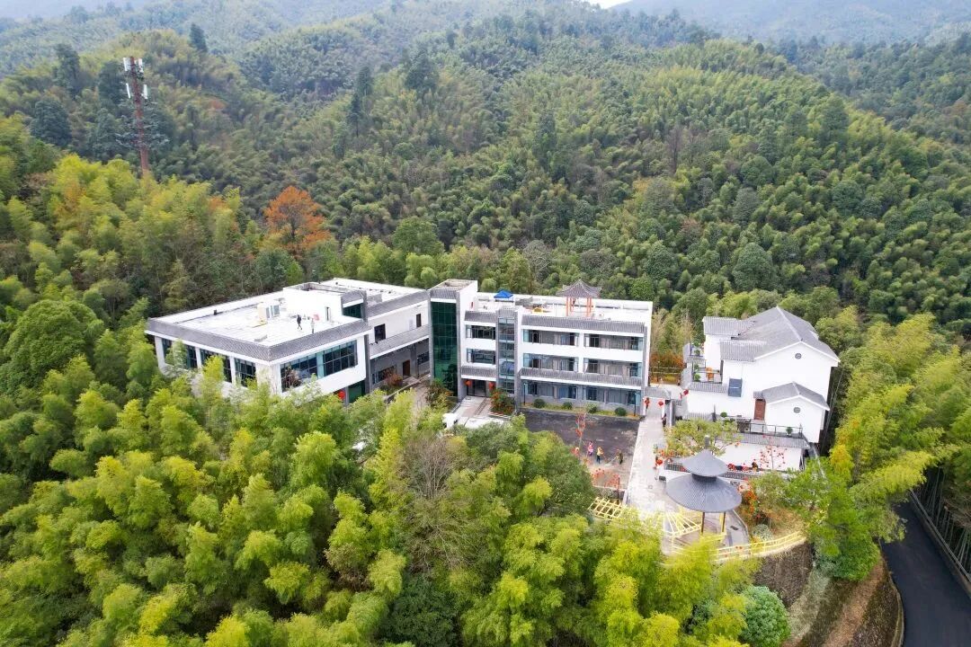 在阳明山庄内,山中的冬笋,放养的家禽,只需简单的烹调,自然的本味