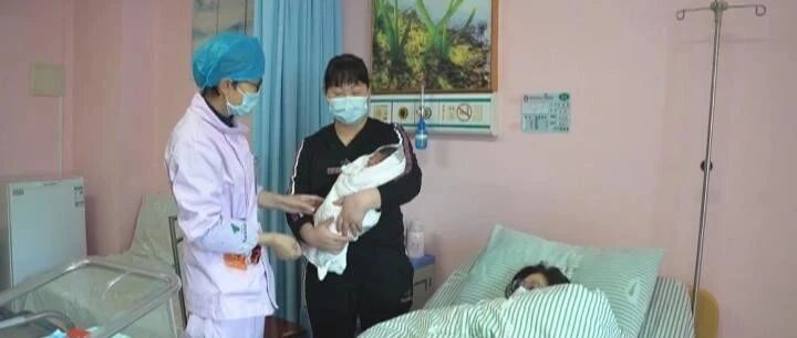 大年初一，“金牛宝宝”来报道！