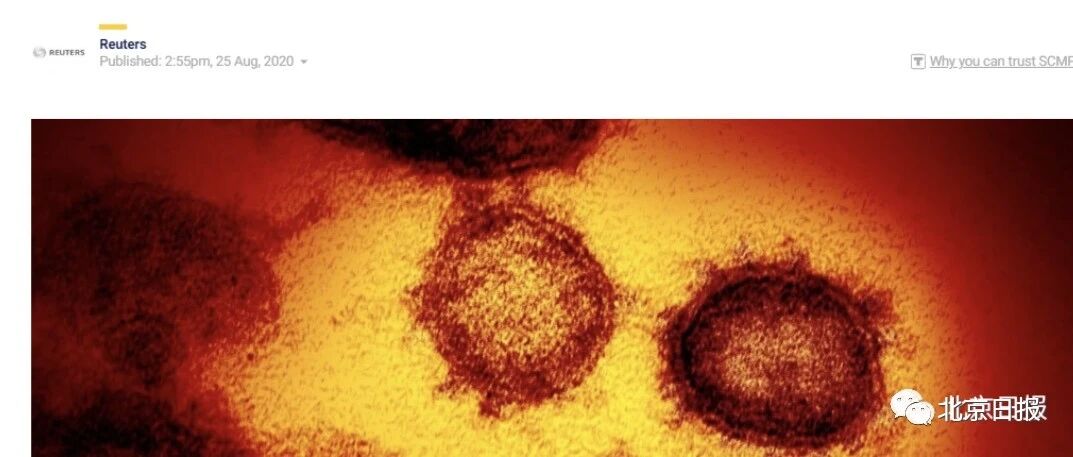 警惕！欧洲也出现"二次感染者”！多位专家表示...