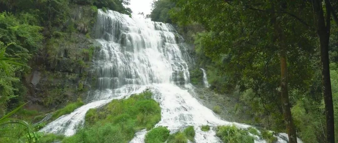 平远上举 | 岭南第一飞瀑，迄今为止最大规模的红豆林，还有香喷喷的糍粑……