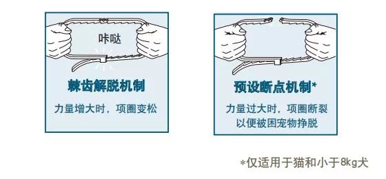 這只貓出去浪了幾天，不知道經歷了什麼，回來後判若兩貓… 未分類 第25張