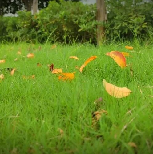 【湿地课堂】李姣田：借景“愈”人——新课标背景下，七上前三单元整合教学设计