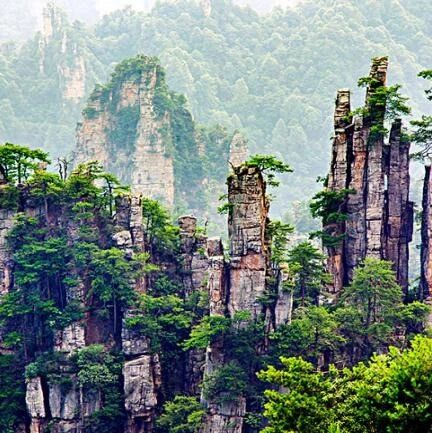 【青春语文·夏家艳专栏】：立意为宗，方成美文